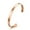 Rose Gold, variant on 6MM Elegant Rose Gold Black Silver Bracelet Women Stainless Steel Opening Bangle