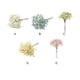 thumbnail image 5 of Inteprter 135 cabezas de flores artificiales para novia, ramo de flores para bebés, arreglo de ramos para boda, decoración del hogar Decoración Amarillo, 5 of 6