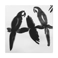thumbnail image 4 of "Macaws in Minimalism" - Canvas, 4 of 25