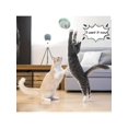 thumbnail image 5 of 3pcs Colorful Spring Toy Set - Keep Your Cat Entertained With Interactive Rolling Balls & Mouse Toys!, 5 of 5