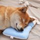 thumbnail image 1 of Almohada relajante para perros para un mejor descanso | Almohada suave para mascotas con soporte cervical | Lavable a máquina | 28 x 19 x 2 cm | Azul, gris o rosa, 1 of 7