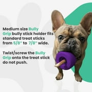Bully Stick Holder by Bully Grip