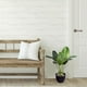 thumbnail image 3 of Moyic Decoración vegetal elegante y verde de bajo mantenimiento para una mayor durabilidad en interiores o exteriores Decoración, 3 of 6