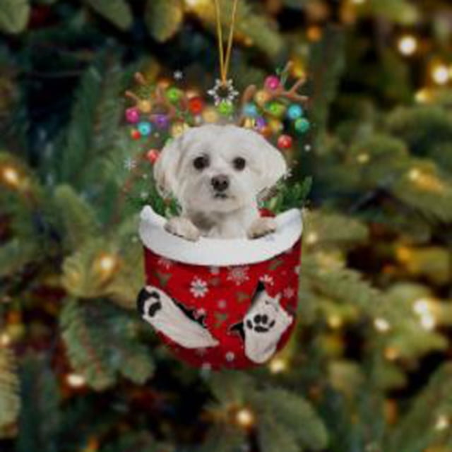 LSLJS Hanging Ornaments, Funny Christmas Tree Decorations, Suitable for Dogs - Gifts for Dog Lovers - Christmas Decorations - Lovely Stockings Dog Christmas Tree, Christmas Decorations