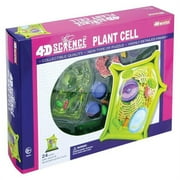 TEDCO 4D Science Plant Cell Anatomy Model for Kids, 24 Pieces, Ages 8 and Up, Educational Toy