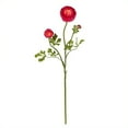 thumbnail image 1 of Nearly Natural 23" Ranunculus Stem (Set of 12), 1 of 1