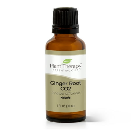 Plant Therapy Ginger Root CO2 Essential Oil 100% Pure, Undiluted, Natural Aromatherapy, Therapeutic Grade 30 mL (1 fl oz)