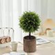 thumbnail image 5 of Plantas artificiales de simulación para el hogar, oficina, vestíbulo de hotel, decoración de plantas verdes, decoración del hogar, plantas artificiales, plantas verdes artificiales, hogar,, 5 of 7