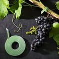 thumbnail image 6 of 5 Pack Garden Tie Green Strap Plant Supports Gentle on Plants Pre-Cut Design Tearable Reusable Sturdy Multi-Purpose for Home Garden Balcony Office, 6 of 8