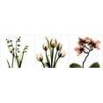 thumbnail image 2 of Koetsier, Albert 18x9 White Modern Wood Framed Museum Art Print Titled - Pink Floral Tryp Tych II, 2 of 4