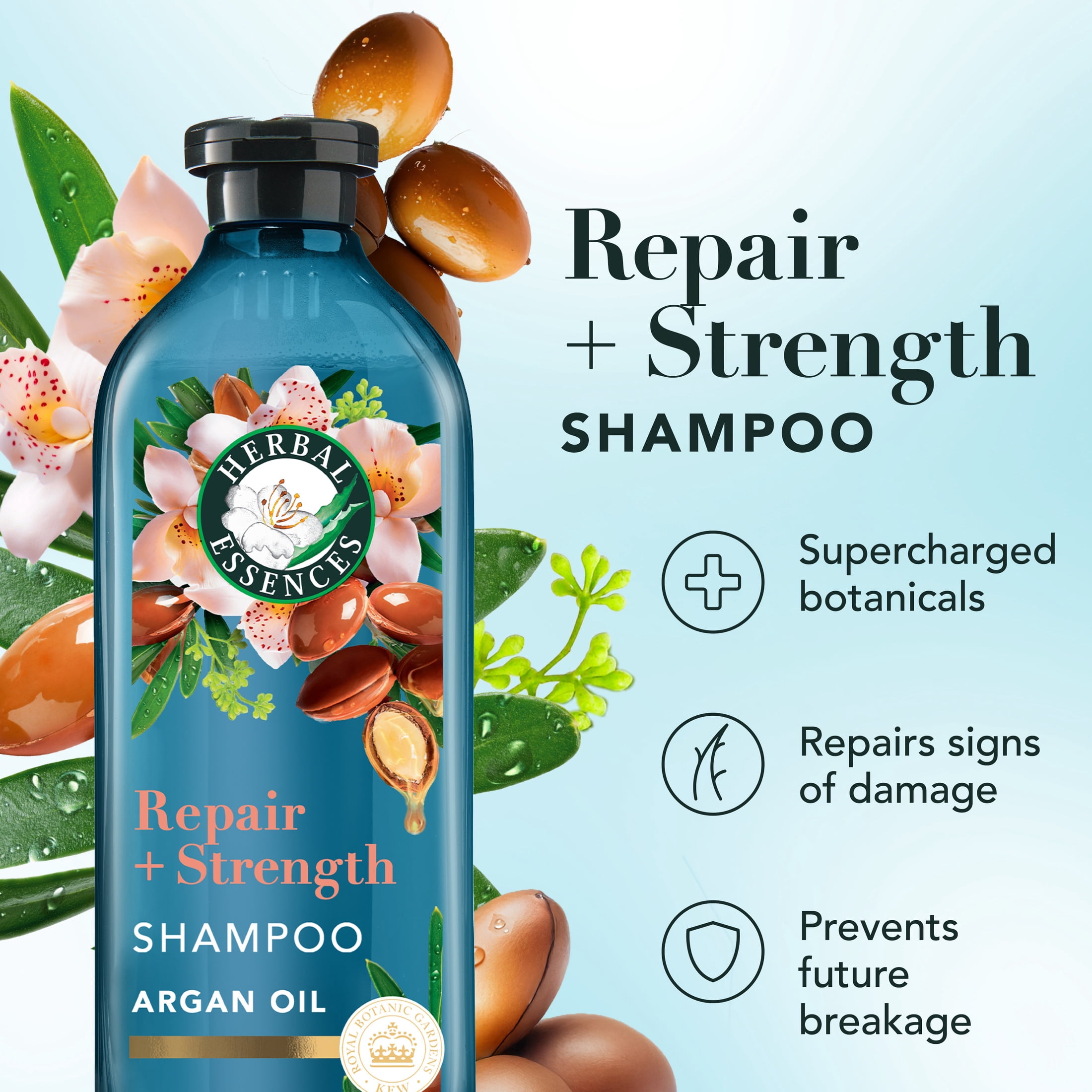 Herbal Essences Repair + Strength Argan Oil Shampoo, Paraben-Free, 13.5 fl oz