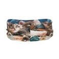 thumbnail image 3 of Easygdp Playful Cat Sports Headband Non Slip Headband Unisex for Head Circumference 19.6 - 22.4 inch, 3 of 9
