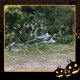 thumbnail image 4 of Muyoka Triángulo telaraña telaraña elástica falsa patio césped hogar disfraces fiesta casa embrujada decoración 16,4 x 15,7 pies/23 x 18 pies, 7 x 5,5 m Muyoka Hogar, 4 of 7