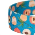 thumbnail image 4 of Country Brook Petz® 1/2 inch Peaches Dog Leash 4 Foot, 4 of 4