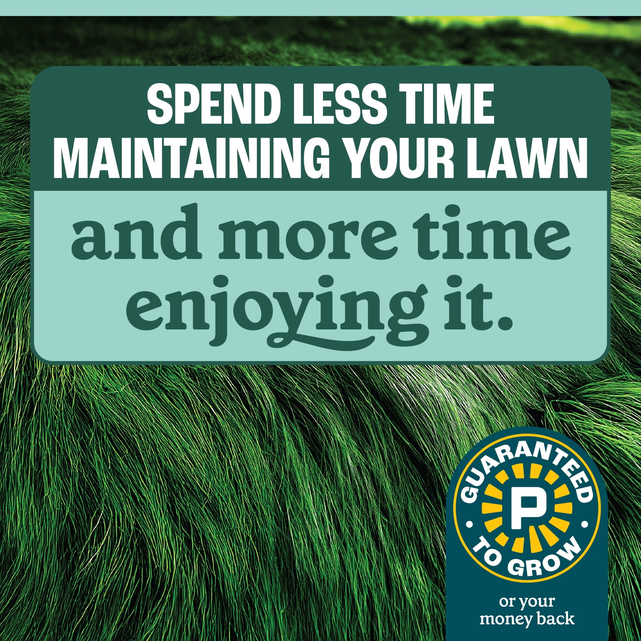 Pennington No Mow Grass Seed Mix 3lb for Low Maintenance Lawns