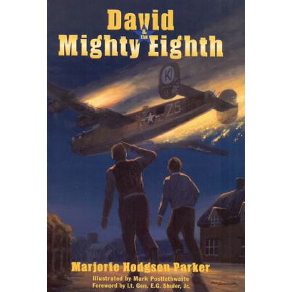 Pre-Owned David & the Mighty Eighth (Hardcover) 1931721939 9781931721936