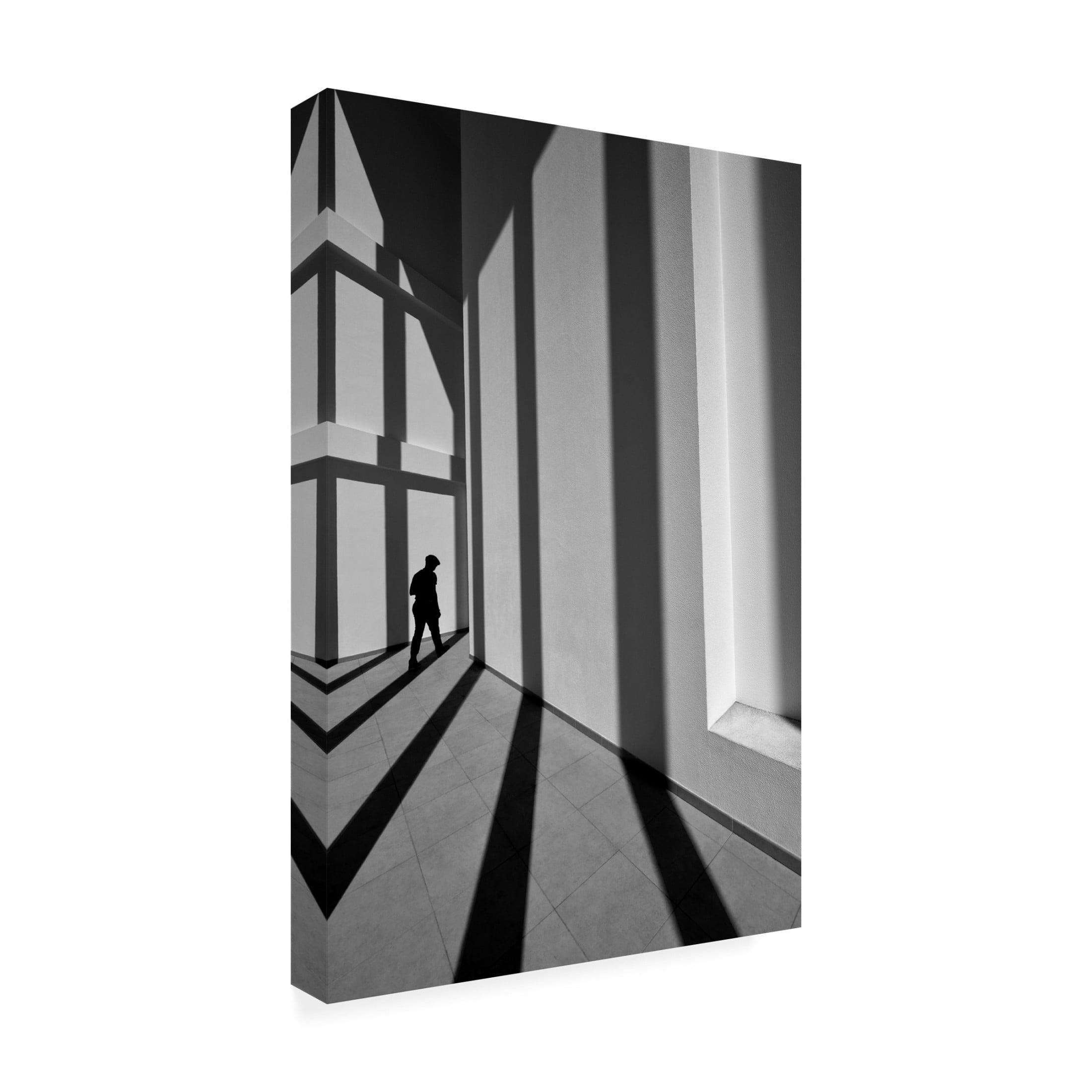 Canvas Wall Art - Florentinus Joseph 'Black Line' Wall Art for Living Room, Bedroom, or Office D?cor by Trademark Fine Art - 22 x 32 Inches