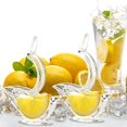thumbnail image 2 of HLONK Lemon Slice Squeezer   6 Pcs Lemon and Lime Squeezer  Transparent Bird Shape Lemon Squeezer  Manual Fruit Juicer  Lemon Press for Kitchen  Bar  Restaurant, 2 of 7