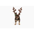 thumbnail image 3 of Midlee Brown Reindeer Dog Antlers Headband Pet Christmas Costume - Large, 3 of 7