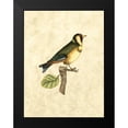 thumbnail image 2 of Selby, John 12x14 Black Modern Framed Museum Art Print Titled - Selby Birds I, 2 of 5