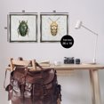 thumbnail image 4 of Stupell Industries Beetle Insect Portrait Animals Painting Gray Floater Framed Canvas Art Print Wall Art, 18 x 18, Set of 2, 4 of 10