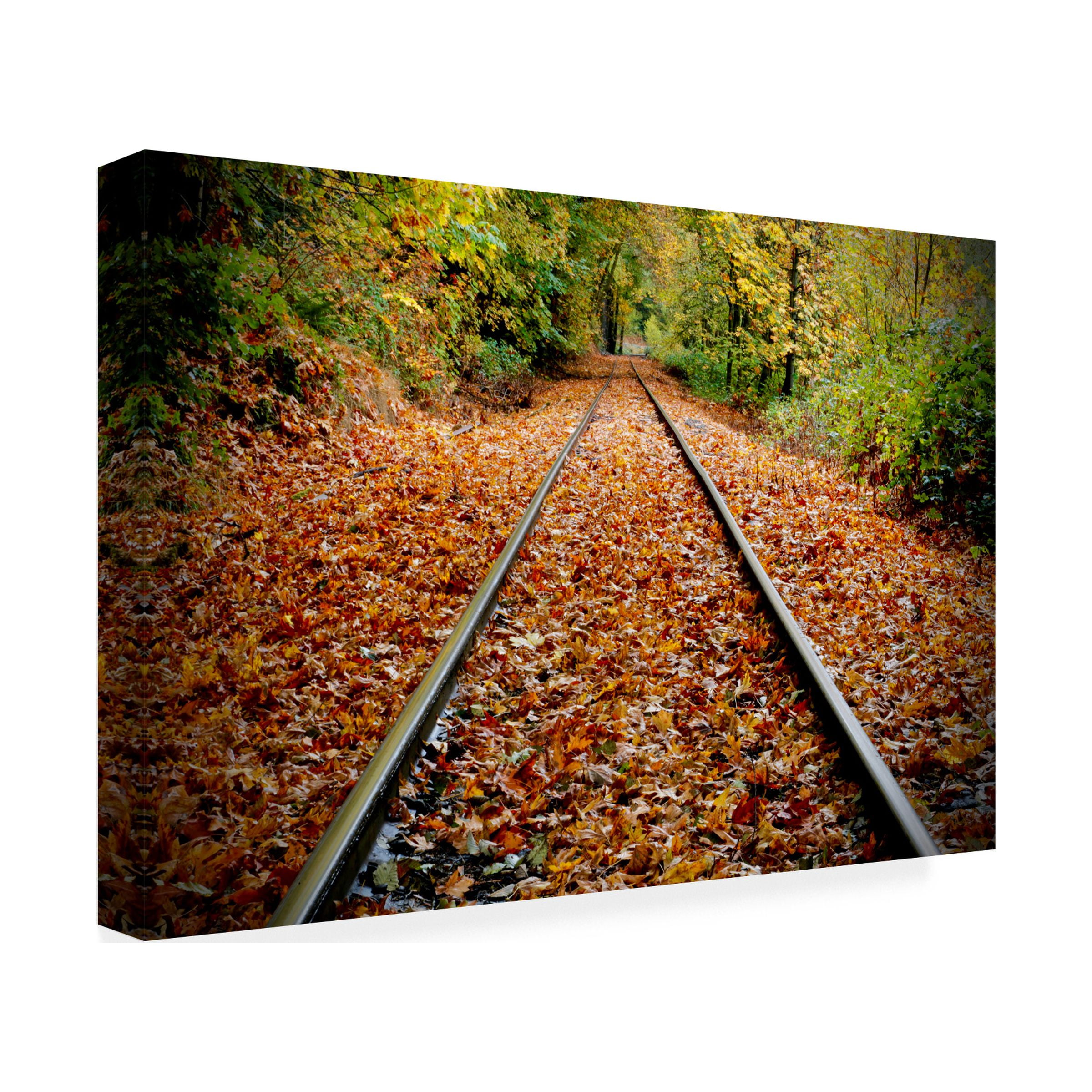 Susan Vizvary Photography 'Looking Down the Tracks' Canvas Art