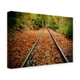 thumbnail image 2 of Susan Vizvary Photography 'Looking Down the Tracks' Canvas Art, 2 of 4