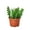 6_EPIPHYLLUM_RIC.RAC.CACTUS, variant on Ric Rac Fishbone Cactus - Live Air-Purifying Indoor Plant in Nursery Pot – Easy Care, Low Maintenance Houseplant for Home & Office Decor, Natural Air Cleaner, Best for Beginners (4"Pot)
