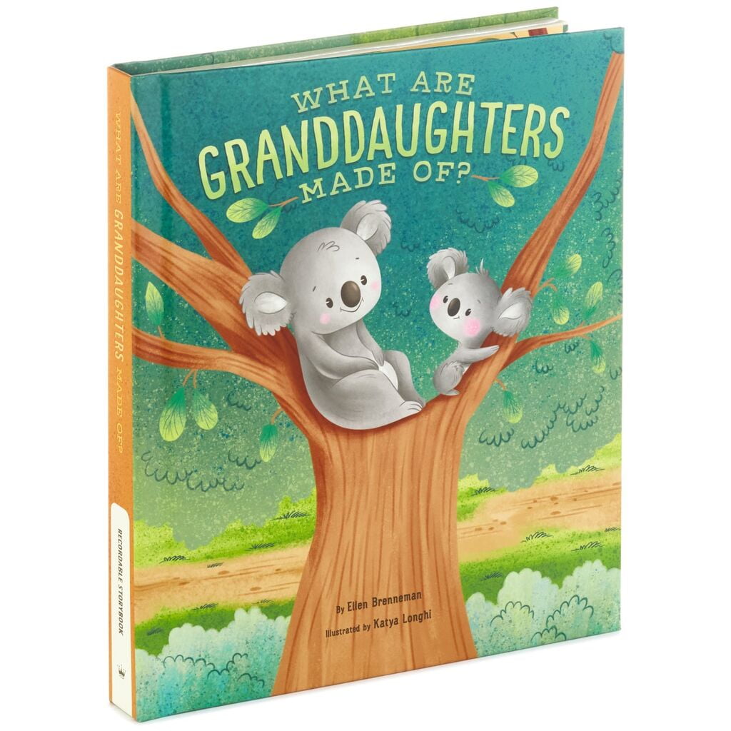 what-are-granddaughters-made-of-recordable-storybook-walmart