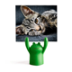 thumbnail image 1 of CAT Stripes Kitty animal relajarse adorable Estante de notas, estante de ranas de animales de dibujos animados, 1 of 3