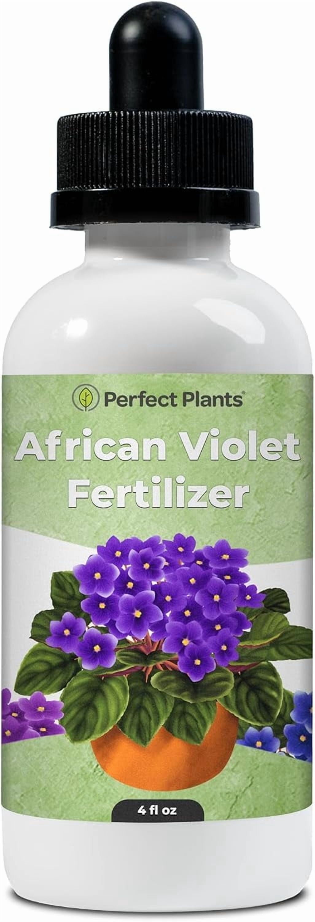 LIQUID POWER Artichoke Fertilizer - Premium Liquid Plant Food for  Artichoke - Fast-Acting Concentrate for Growth, Strong Roots & High-Yield  Harvest - 32 oz - Indoor & Outdoor Use - Walmart.com