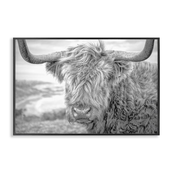 Stupell Industries Farmhouse Close Up Fuzzy Cattle Black Framed Giclee Art, 18 x 12, by Jasper Huish