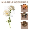 thumbnail image 3 of unbranded 10Ud Exhibidor Vertical De Plantas Colgantes Acrílico Para De Hogar Y Oficina, 3 of 8