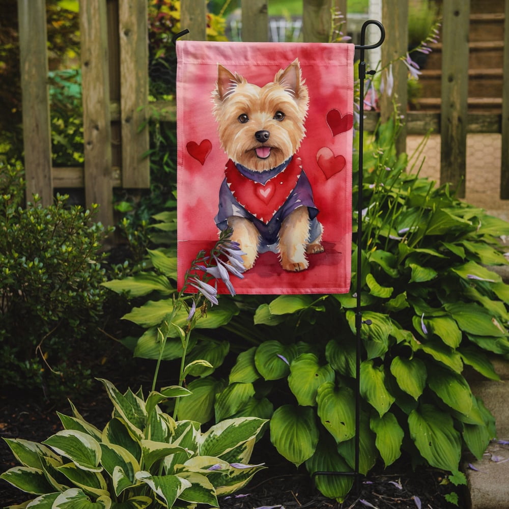 Norwich Terrier My Valentine Garden Flag 11.25 in x 15.5 in