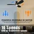 thumbnail image 4 of 52" 3 Blade Black and Gold Smart Ceiling Fan with 10 Speed DC Motor and Light, 4 of 8