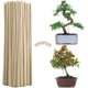 thumbnail image 1 of Caña de bambú, 100 piezas, caña de jardín, estaca de jardín, palos de bambú, palos de soporte para plantas, palos de soporte para plantas DIY (3mm * 20CM) ShuxiuWang 8390613693891, 1 of 1