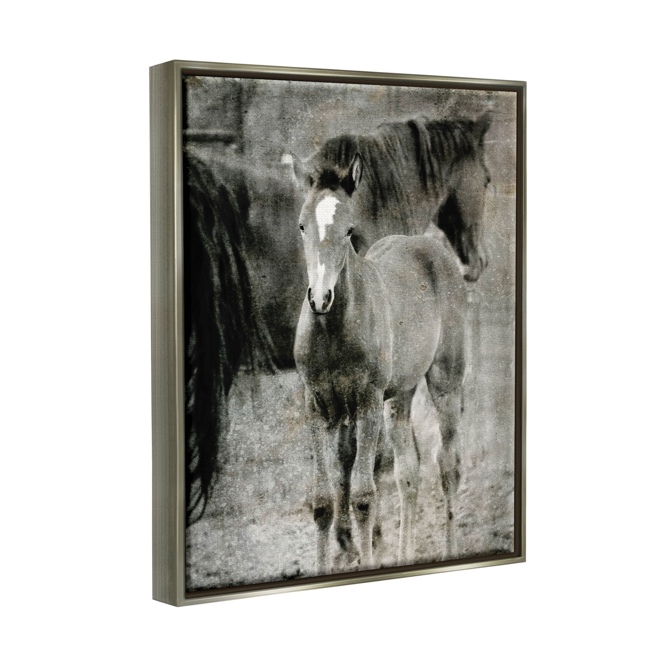 Vintage Foal Horse Farmland Animals & Insects Graphic Art Luster Gray Framed Art Print Wall Art