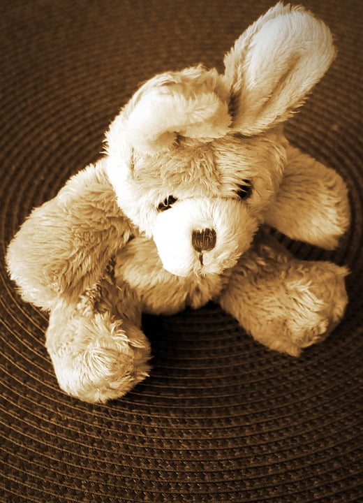 hare teddy