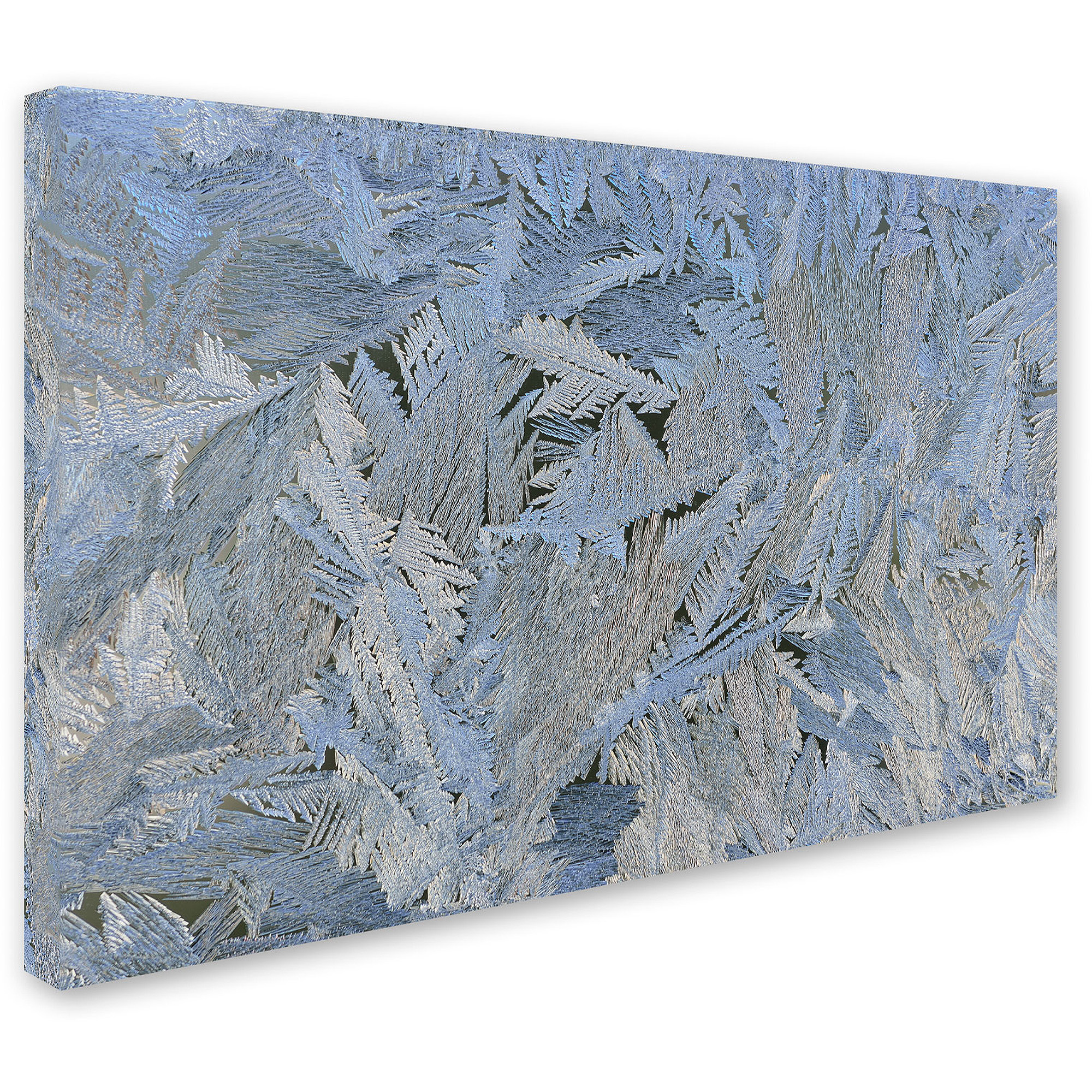 Trademark Fine Art "Frost Pattern #6" Canvas Art by Kurt Shaffer