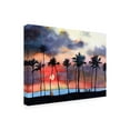 thumbnail image 2 of Paul McCreery 'Night Sky V' Canvas Art, 2 of 3