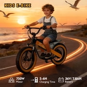 ET-02 Ultra Electric Bike for kids, 750W Electric Balance Bike for Kids, 16 Inflatable Tires, Up to 18.6 MPH, 36V 7.8Ah Battery, Rear Disc Brake, Lightweight Off-Road E Bike for Kids Ages 3-10