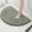 Asakusa Green, variant on Muddy Rug, Seen on TV – Super Absorbent Microfiber Dog Door Mat for Mucky Paws, Non-Slip Washable Pet Rug, Quick Dry Chenille Entryway Carpet, Machine Washable Indoor Mat