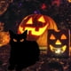thumbnail image 4 of Decoración de Jardín de Hierro Forjado para Halloween | Juego de 4 Gatos | Material Acrílico Resistente | Letreros para Exterior | Tamaño: 24 Cm | Incluye Taco para Enterrar, 4 of 5