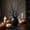 Black A, variant on WWV Halloween Black Branches 10 Pack Artificial Bare Twig Stems 5.91 Inch for Vase Fillers Mantel Table Scary House Party Home Decor