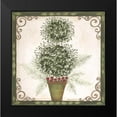 thumbnail image 2 of Shamp, Cindy 15x15 Black Modern Framed Museum Art Print Titled - Topiary IV, 2 of 5