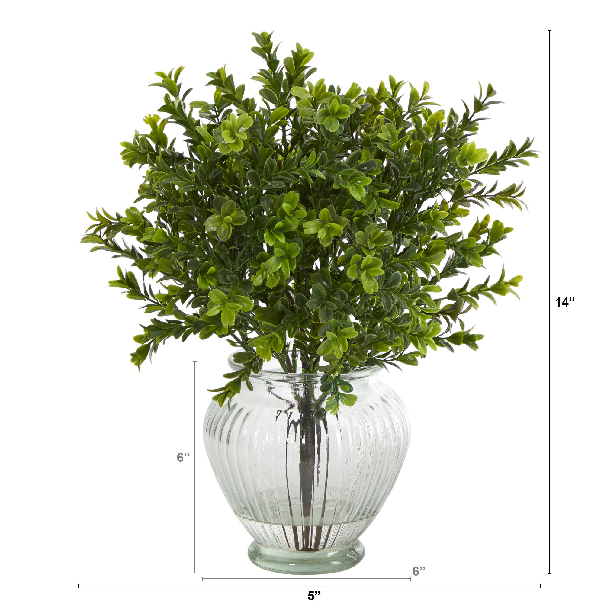 Nearly Natural 14in. Boxwood Artificial Plant in Glass Planter (Indoor/Outdoor)
