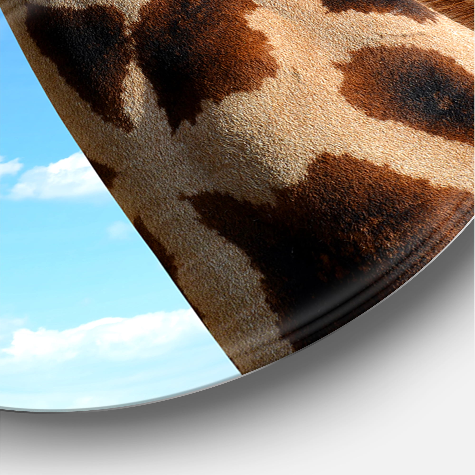 Designart 'A Giraffe On A Blue Sky Portrait' Farmhouse Circle Metal Wall Art 11x11 - Disc of 11
