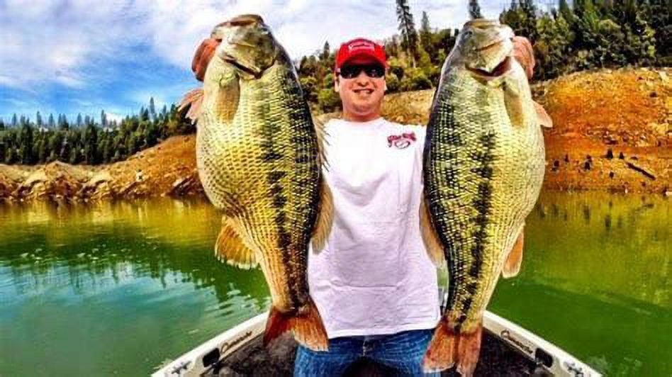 (3 pack) Strike King Bitsy Bug Mini Jig 3/16oz Pumpkin Bass Jig