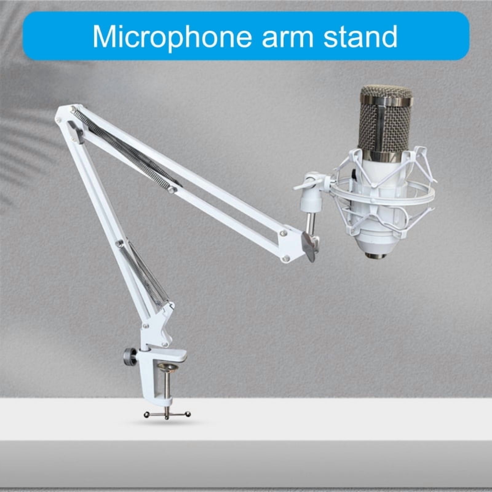 Portable Microphones Holder Arm, Multipurpose Stand for Recording Studios and Performances
