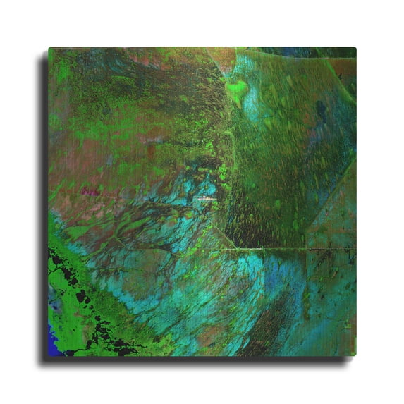 Luxe Metal Art 'Earth as Art: Everglades' Metal Wall Art, 36"x36"
